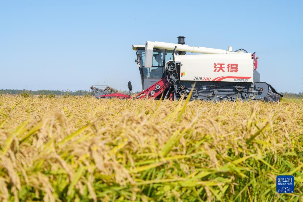 北京游娱联盟